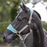 cabezada-de-cuadra-le-mieux-