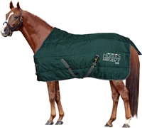 manta-caballo-interior-invierno